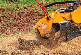 Best Lawn Drainage Solutions  in West Ack, NY