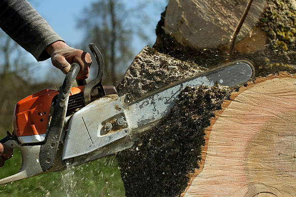 Mulching Services in West Nyack, NY